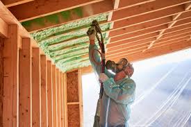 Types of Insulation We Offer in Howey In The Hills, FL